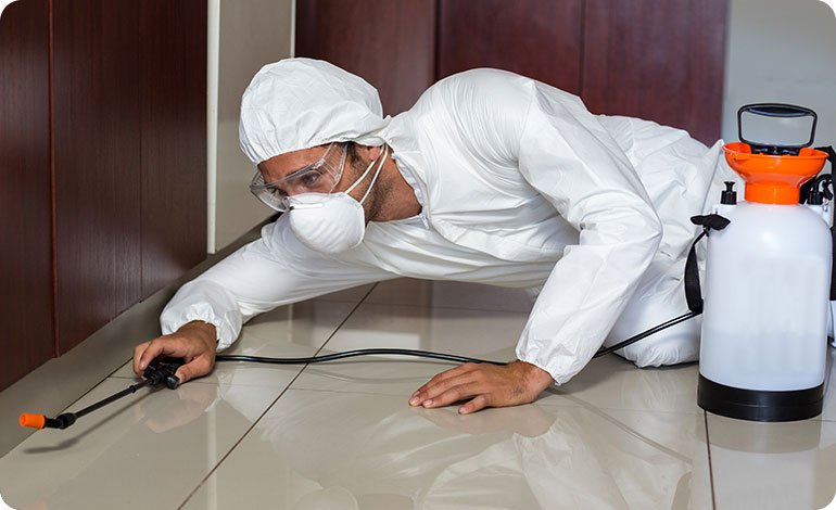 Pest Control Services Al Badiyah