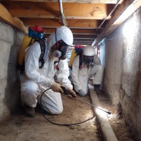 Which Company is the best Pest Control In Dammam? 9 pest control company dammam