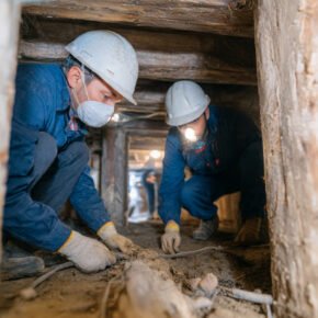 Which Company is the best Pest Control In Dammam? 4 pest control company dammam