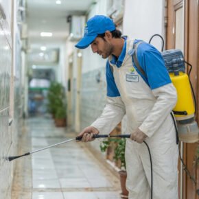 Which Company is the best Pest Control In Dammam? 7 pest control company dammam