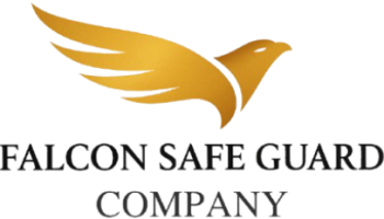 falcon safe guard - Logo